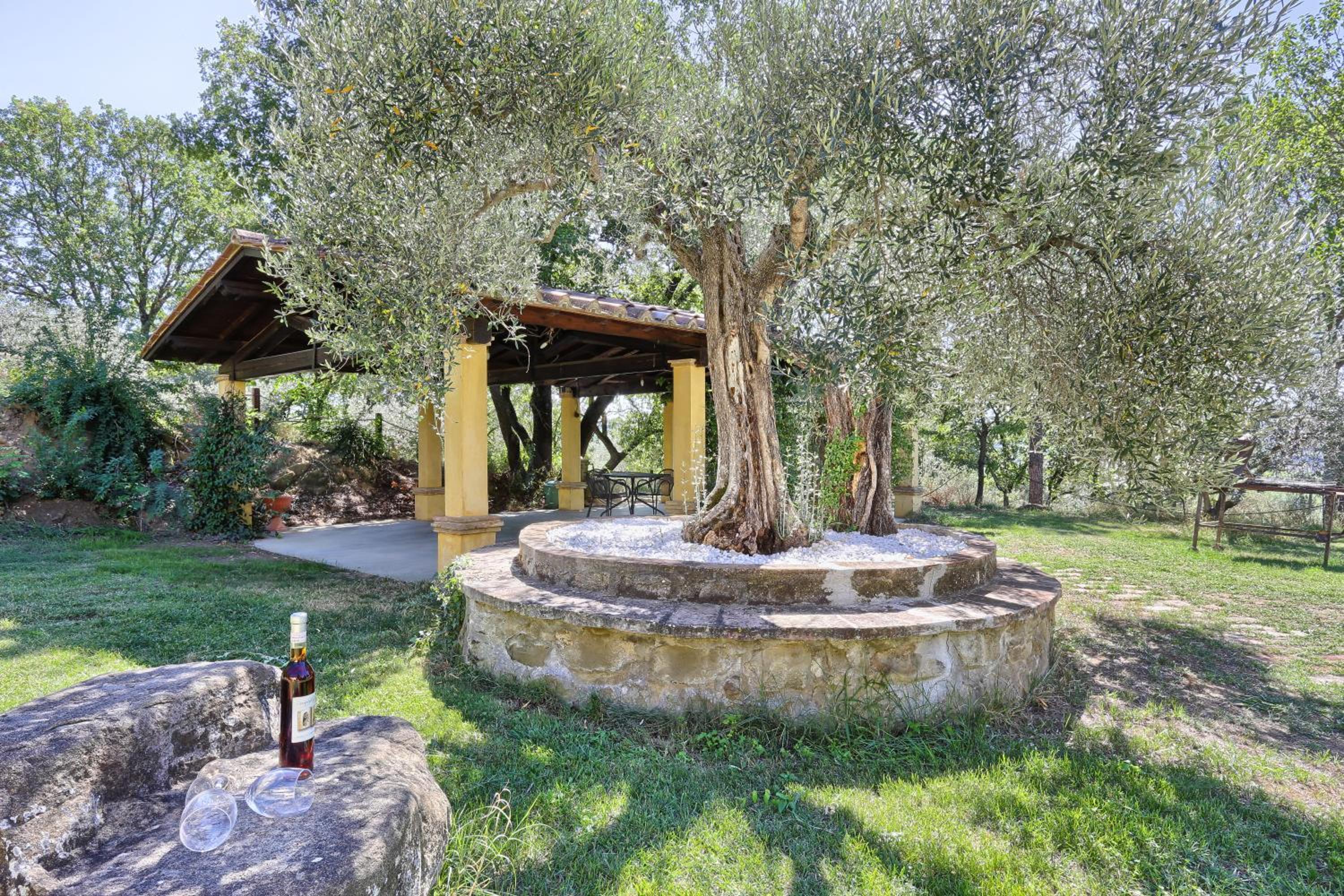 Agriturismo La Collina dei Ciliegi