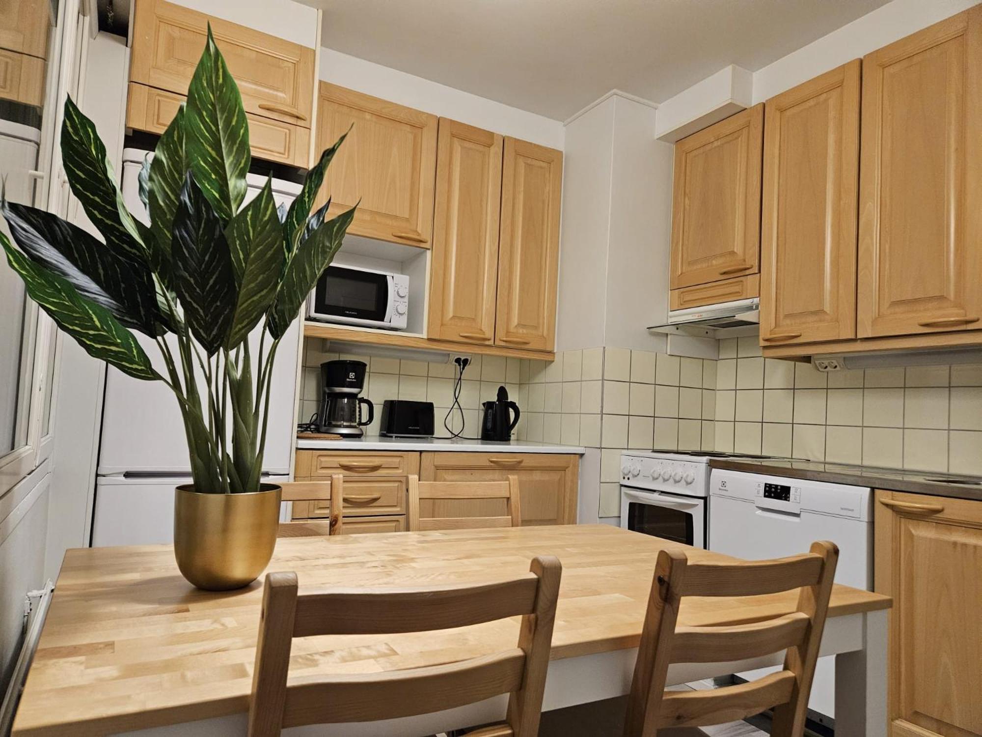 Lapinkatu apartments view 5