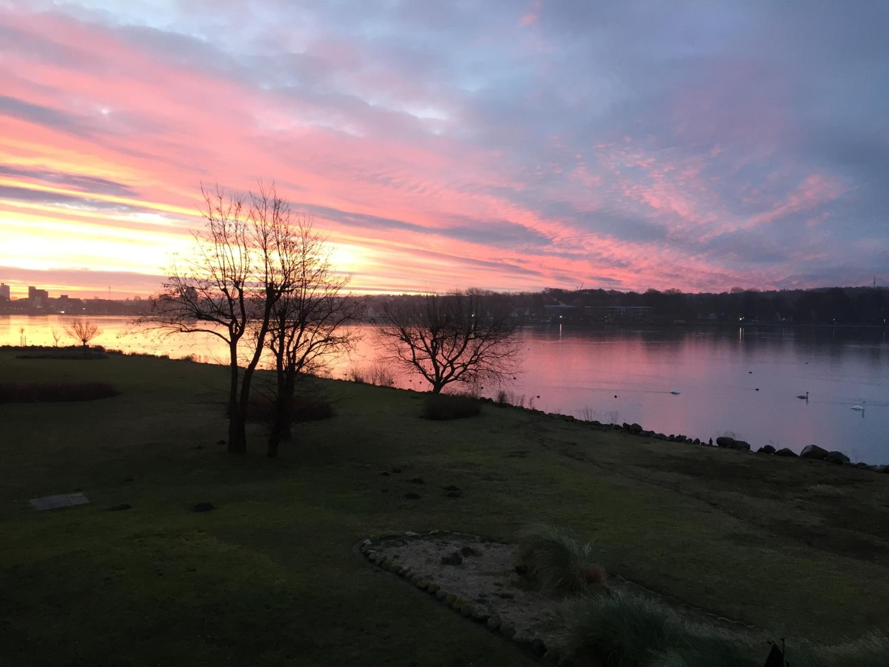 Ferienwohnung mit direktem Seeblick an der Ostsee