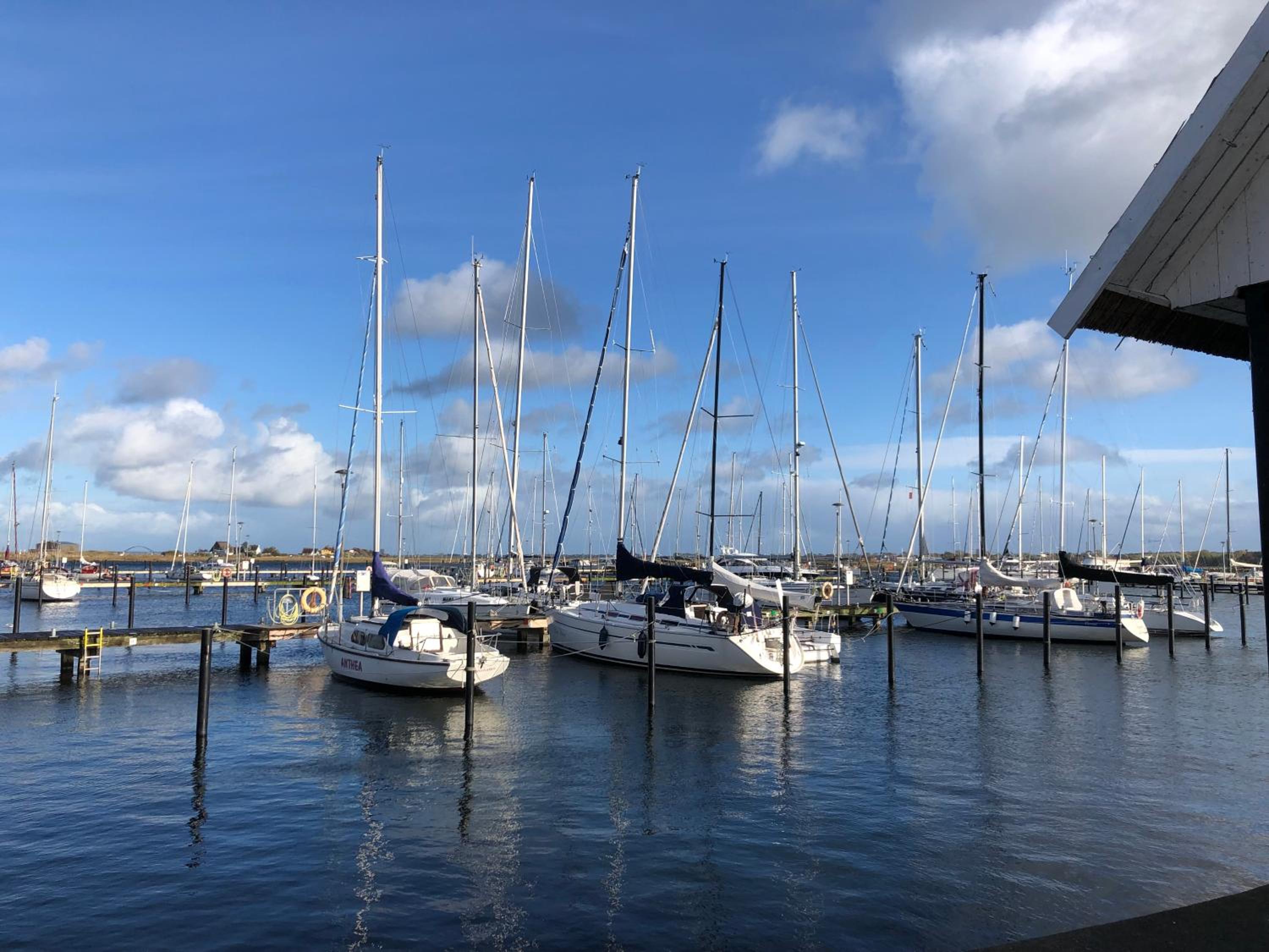 Ferienwohnung mit direktem Seeblick an der Ostsee