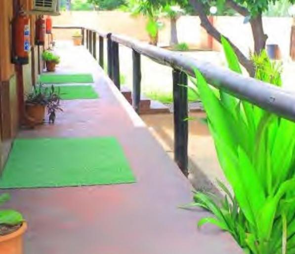 Butterfly tree guesthouse view 3