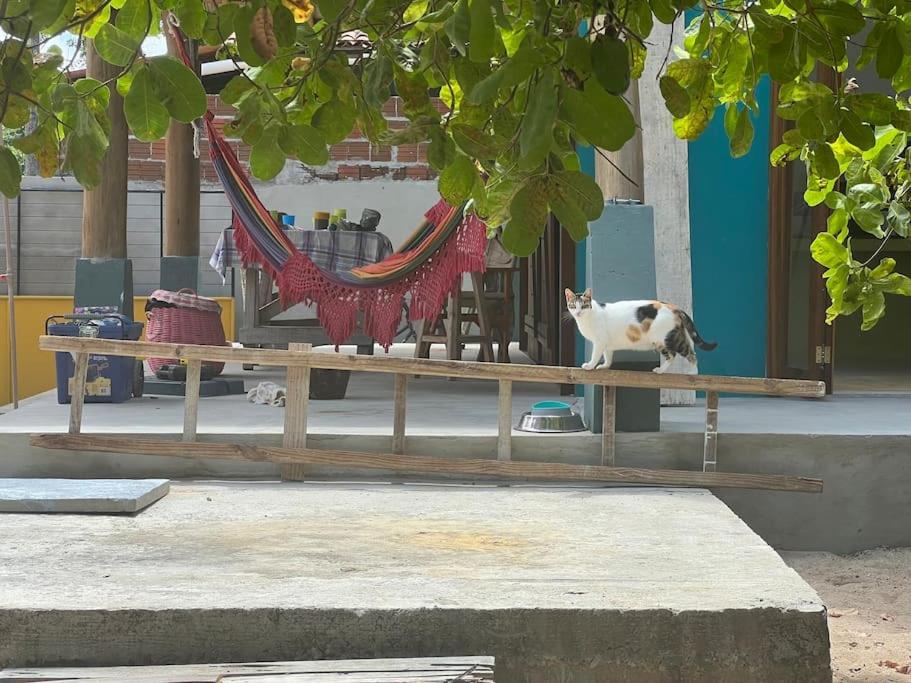 Artists Loft/Mansion on Pipa Beach