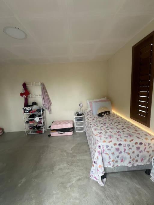 Artists Loft/Mansion on Pipa Beach