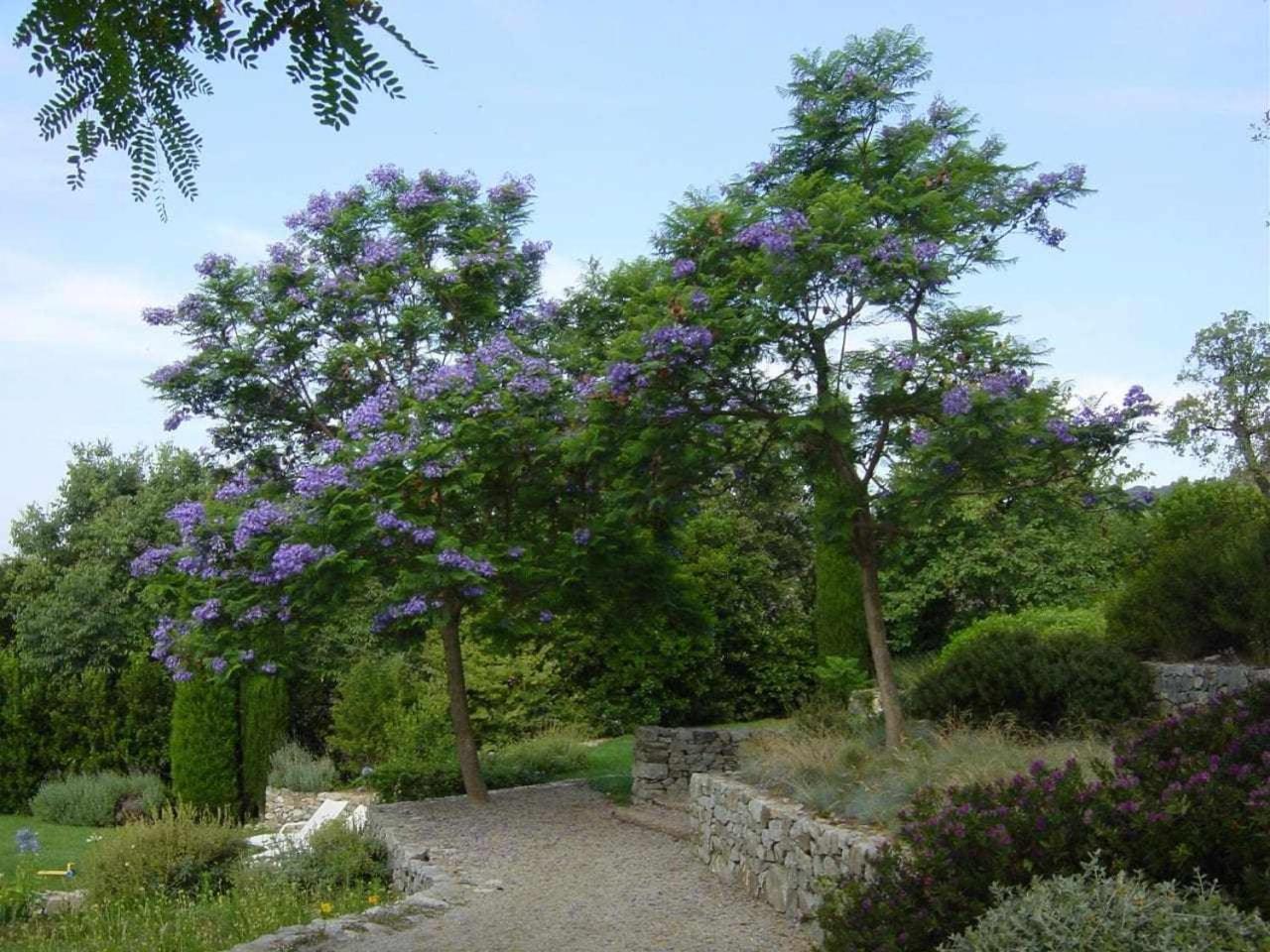 Ca l'Andreu Ecoturisme view 3