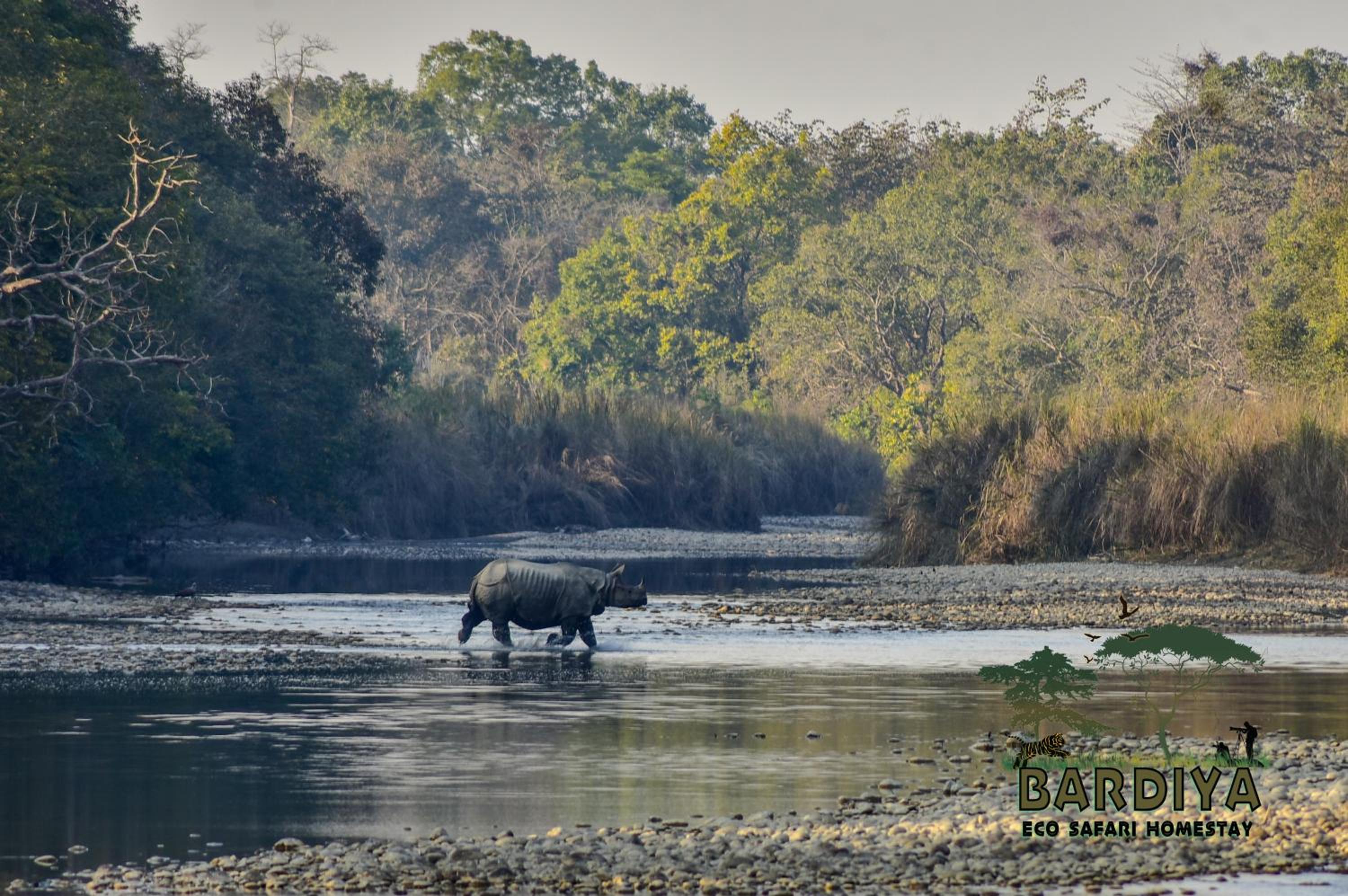 Bardiya Eco Safary Homestay view 4