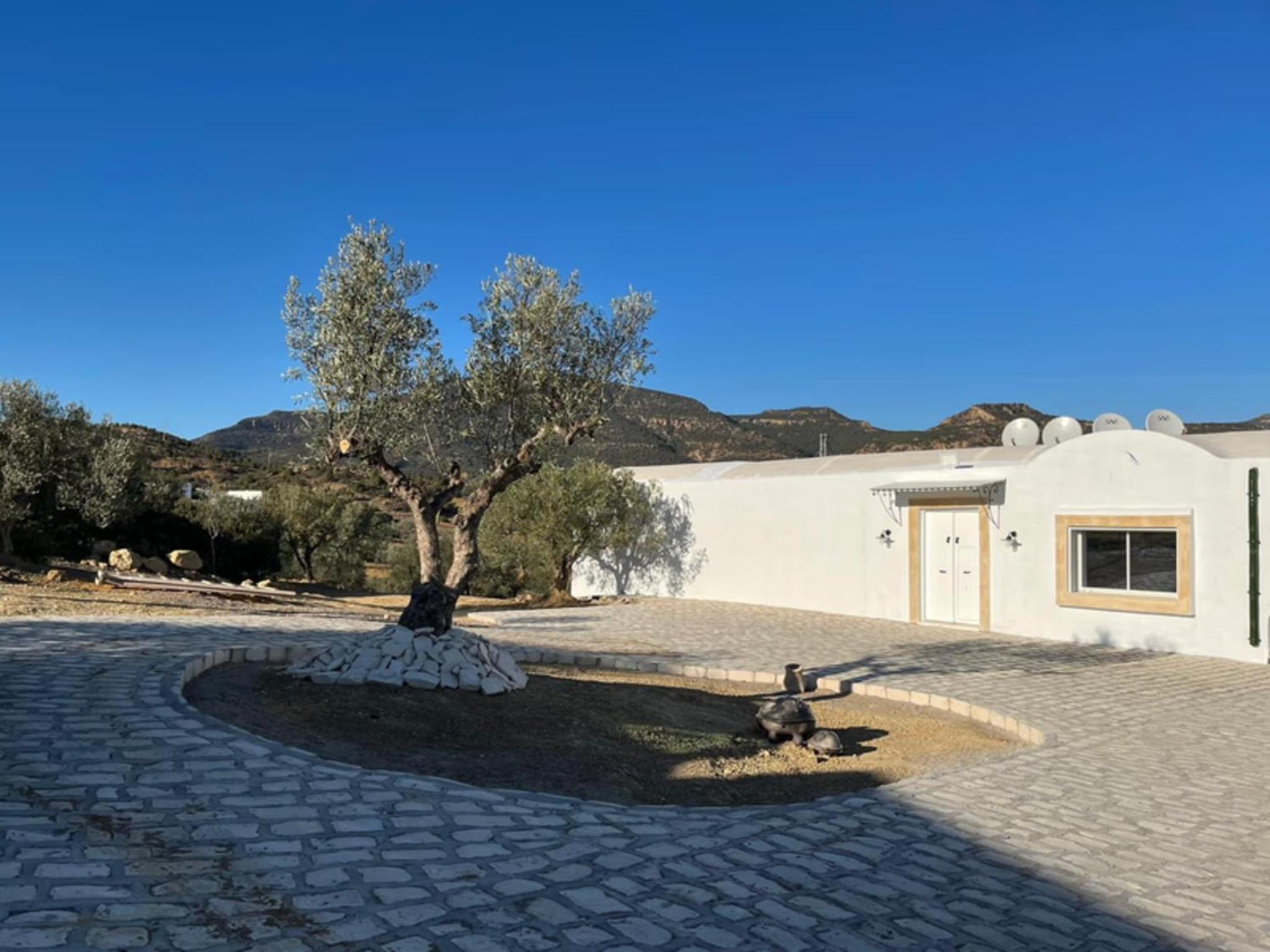 Villa in the mountains Hammamet