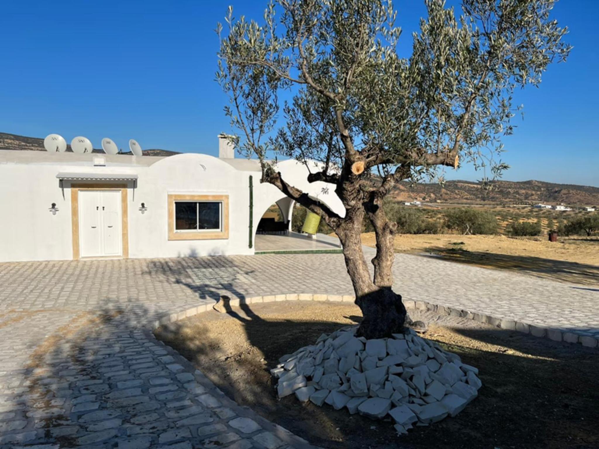 Villa in the mountains Hammamet