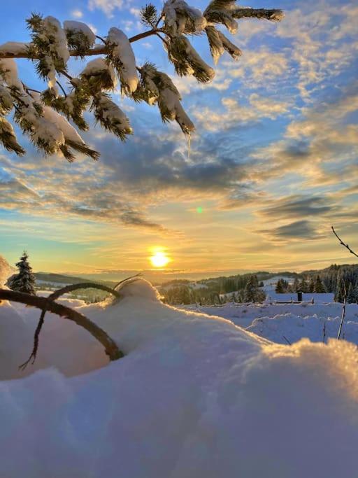 Chata u Hrušků 100m od sjezdovky view 5