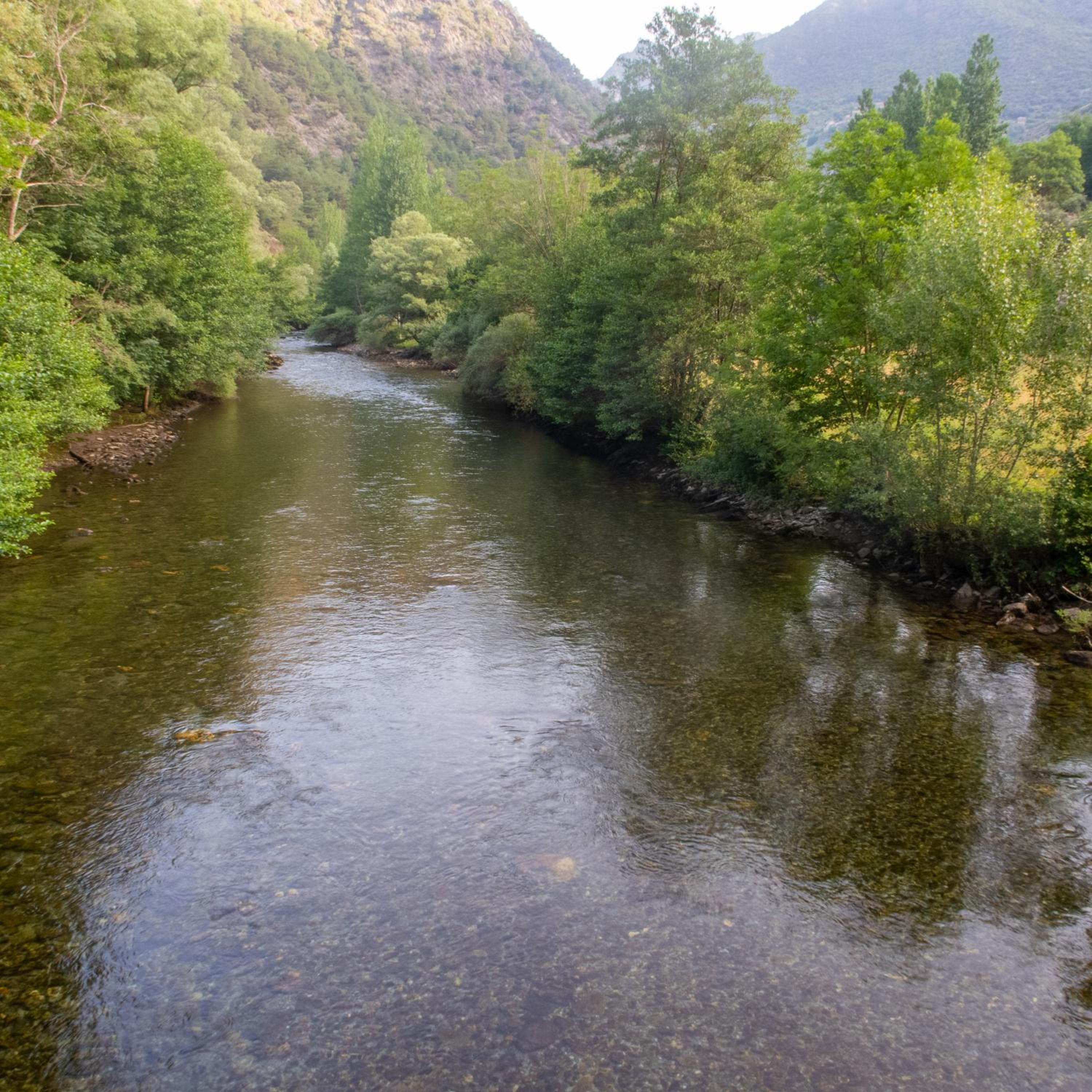 Photo 34