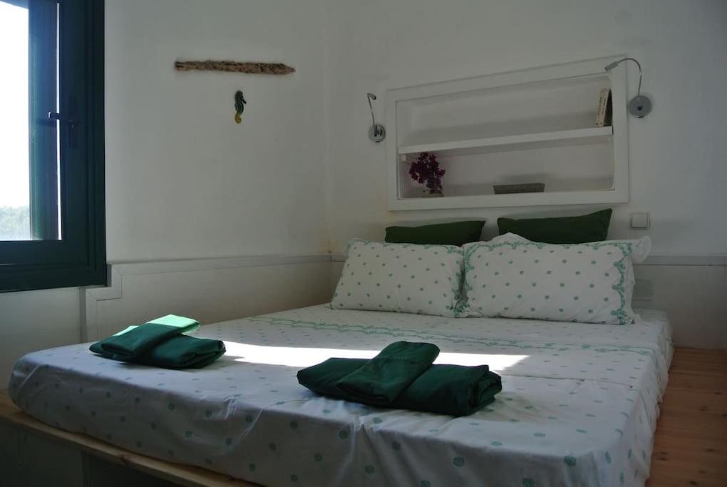 Charming Cottage on the sea turtle beach view 3