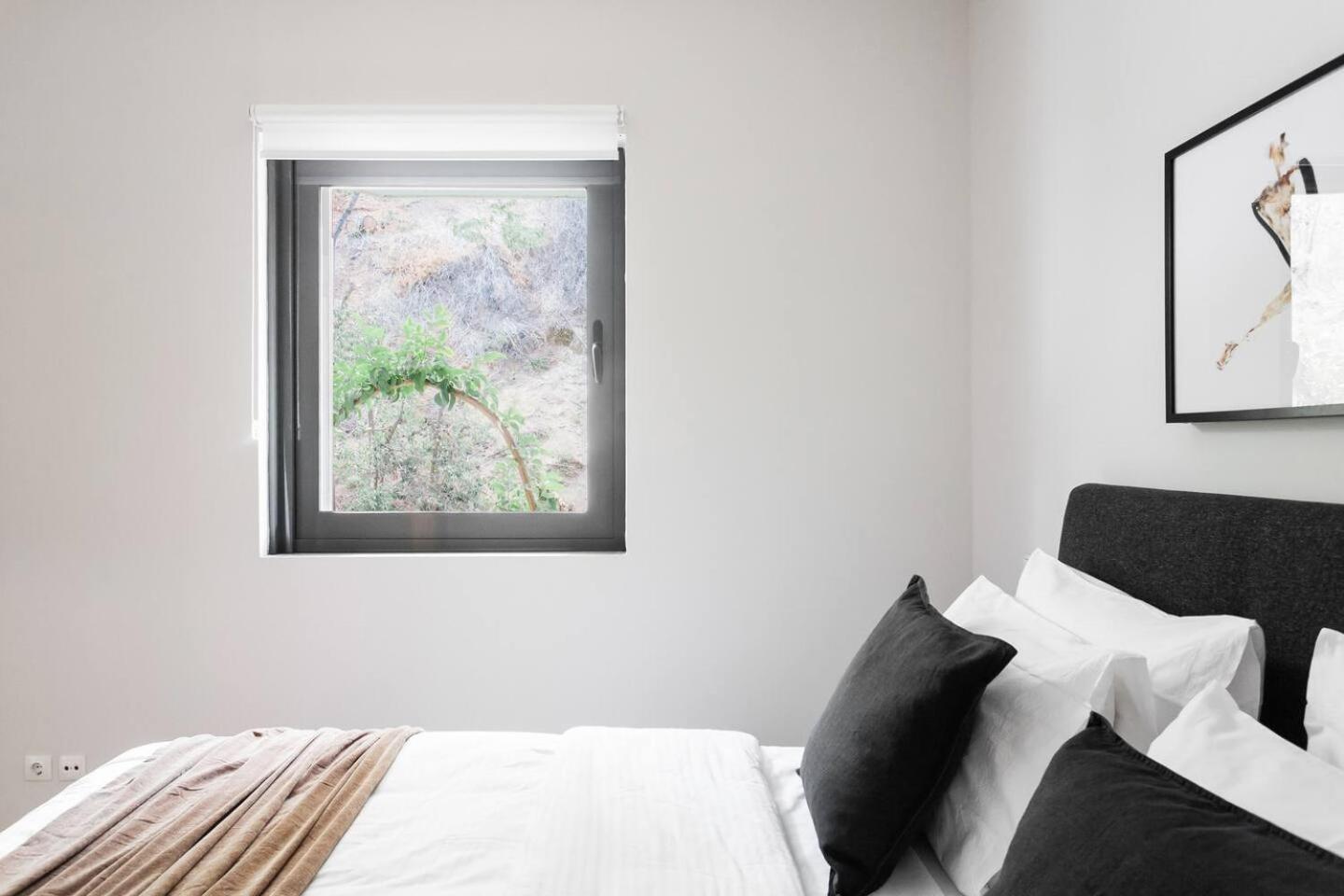 The Hill by Zoia Living