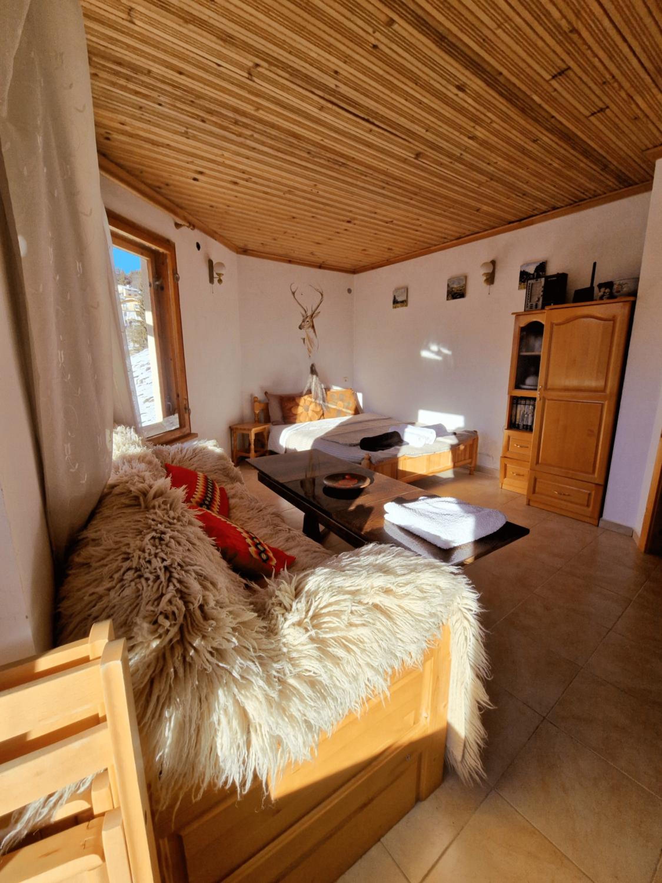 Cozy & Spacious Pamporovo Villa
