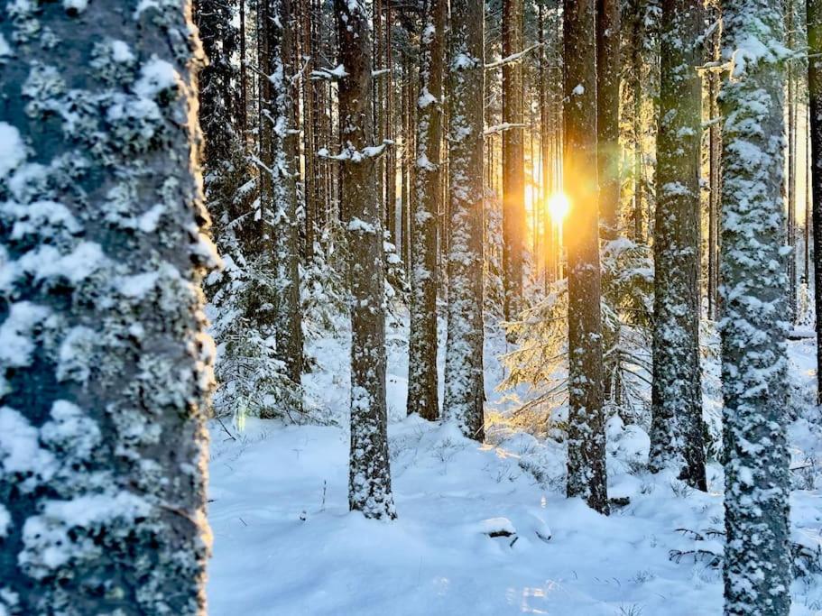 Långrösta; Ruime blokhut grenzend aan bos view 3