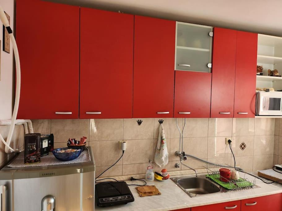 Dvosoban Apartman Niš