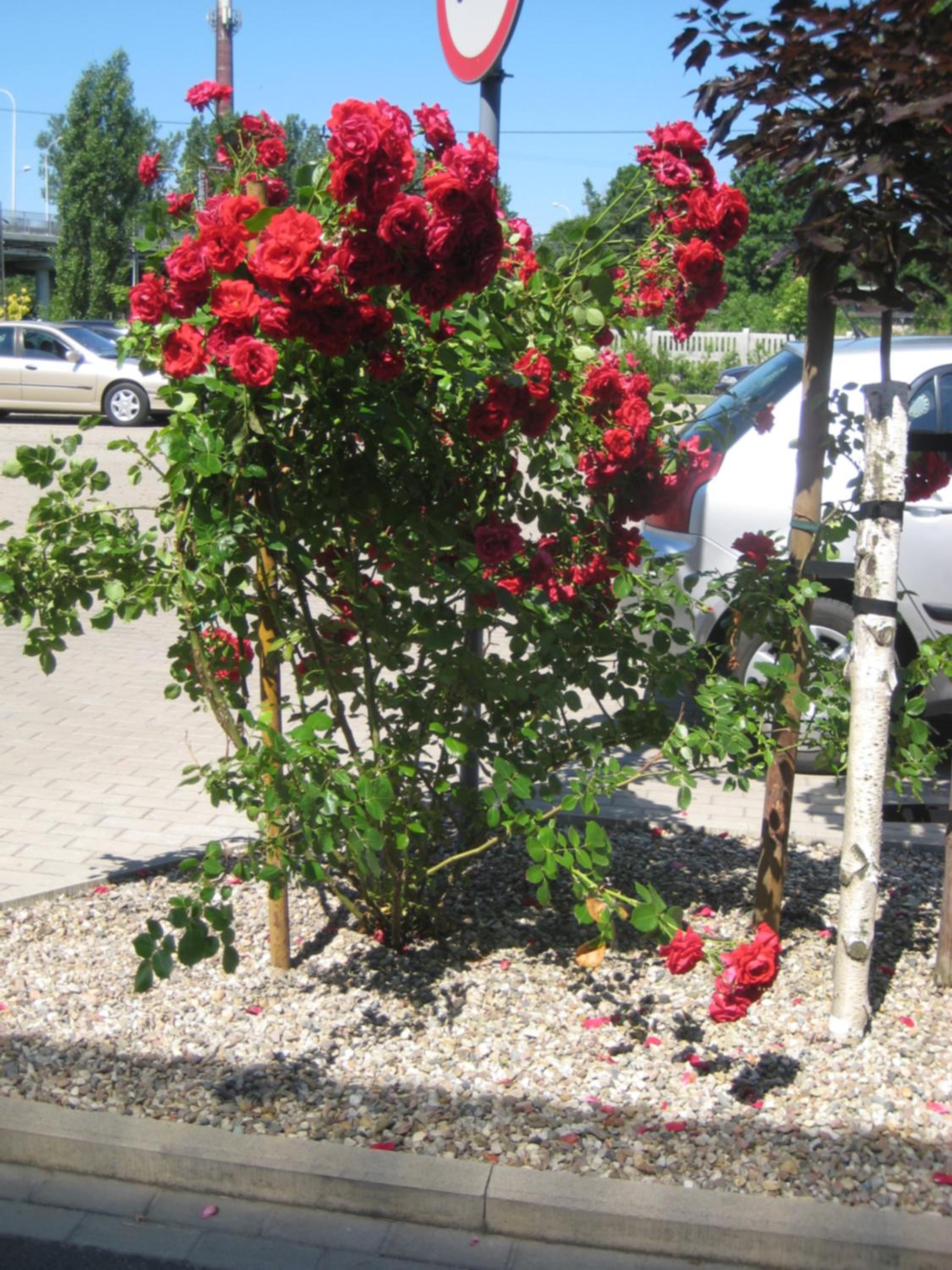 Baza noclegowa Mistral view 2