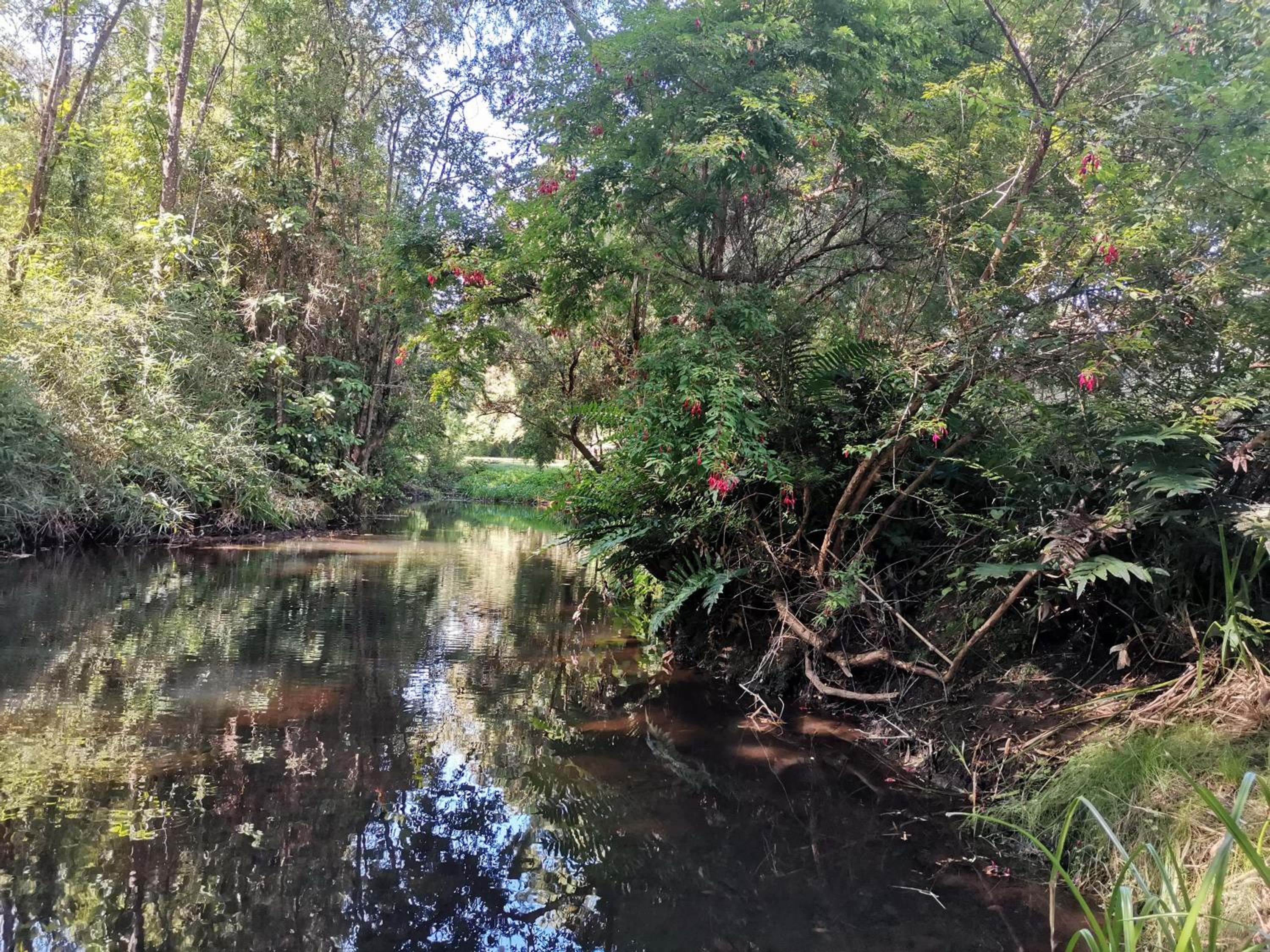 Cabañas y Hostal Casa de Campo Rukaleufu a orillas del Rio Huiscapi