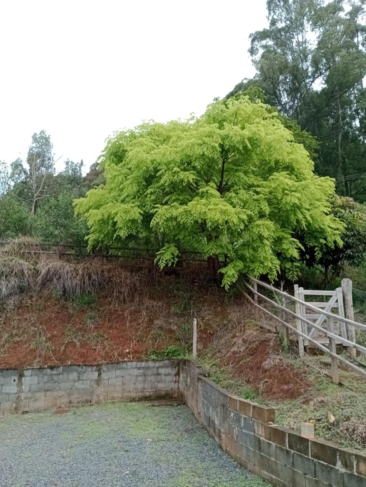 Recanto da Alegria