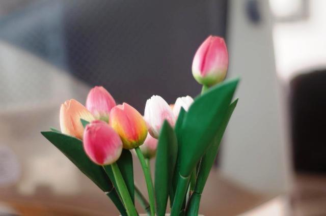 Photo 26