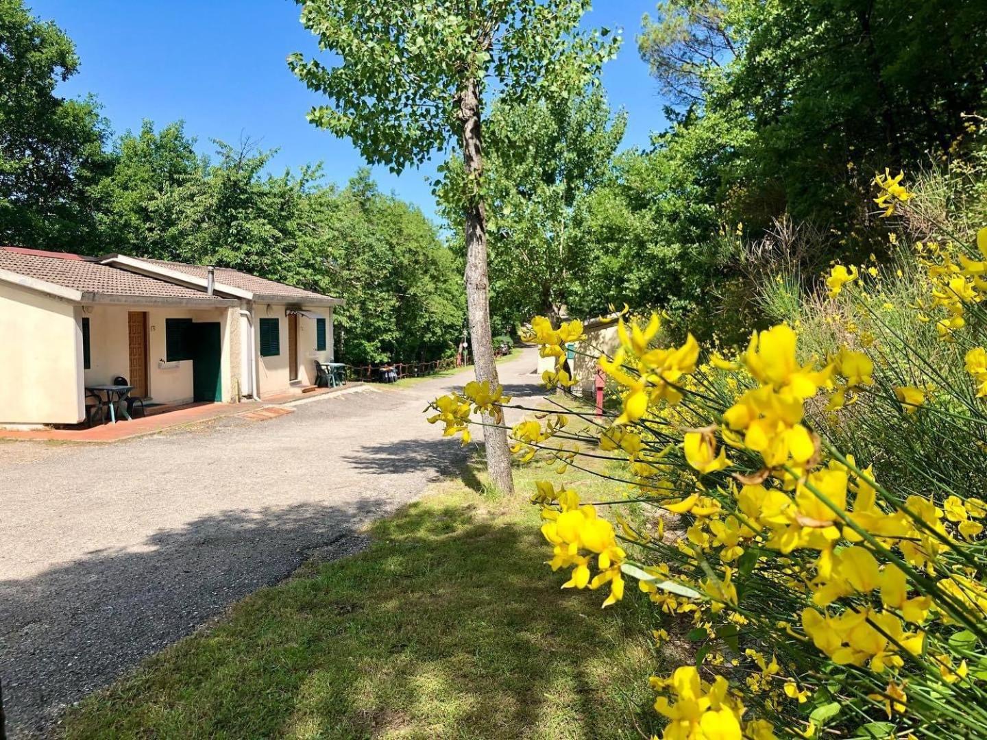 Camping Village Mugello Verde