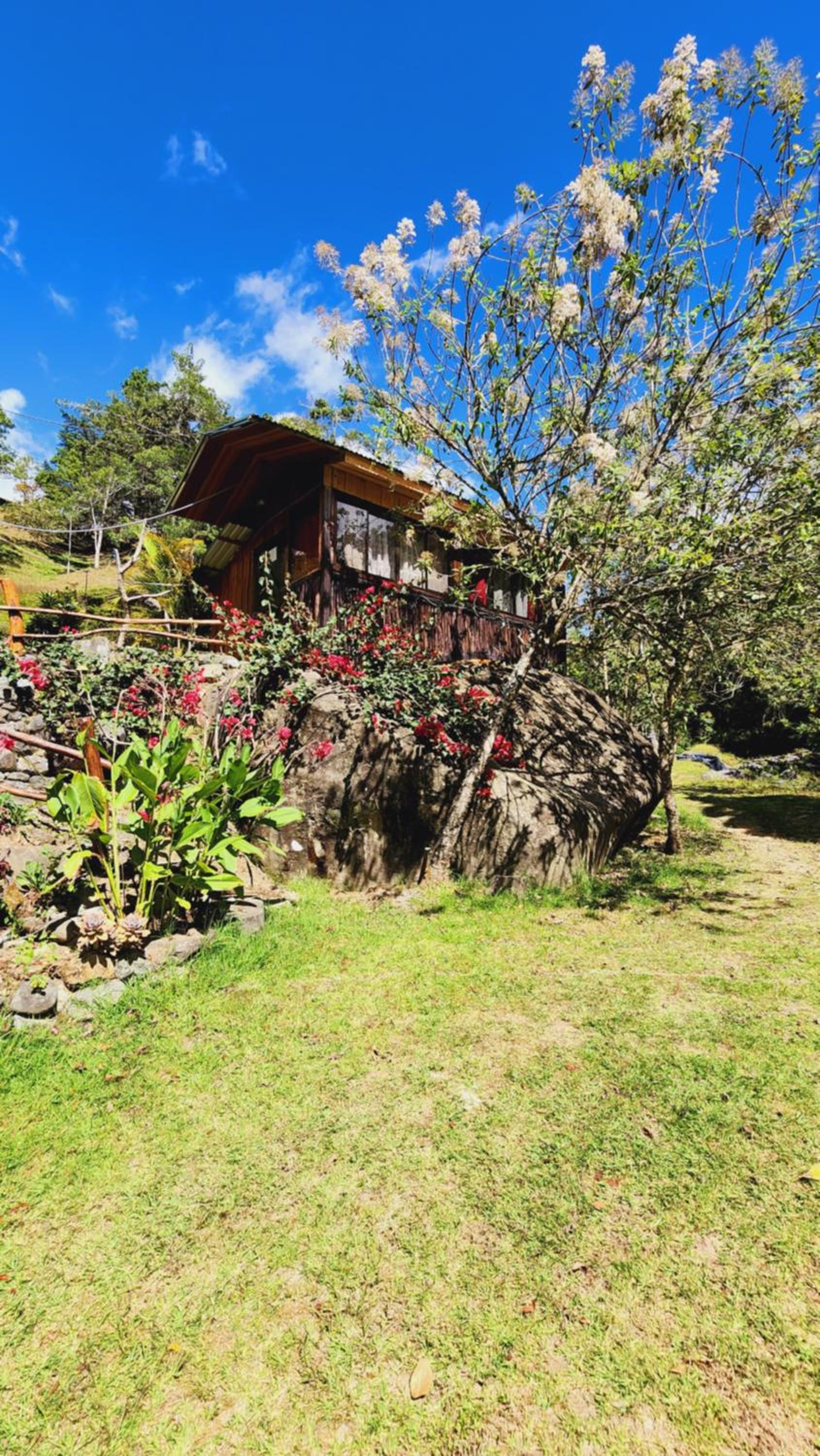 Hospedajes Richie Eco Camp