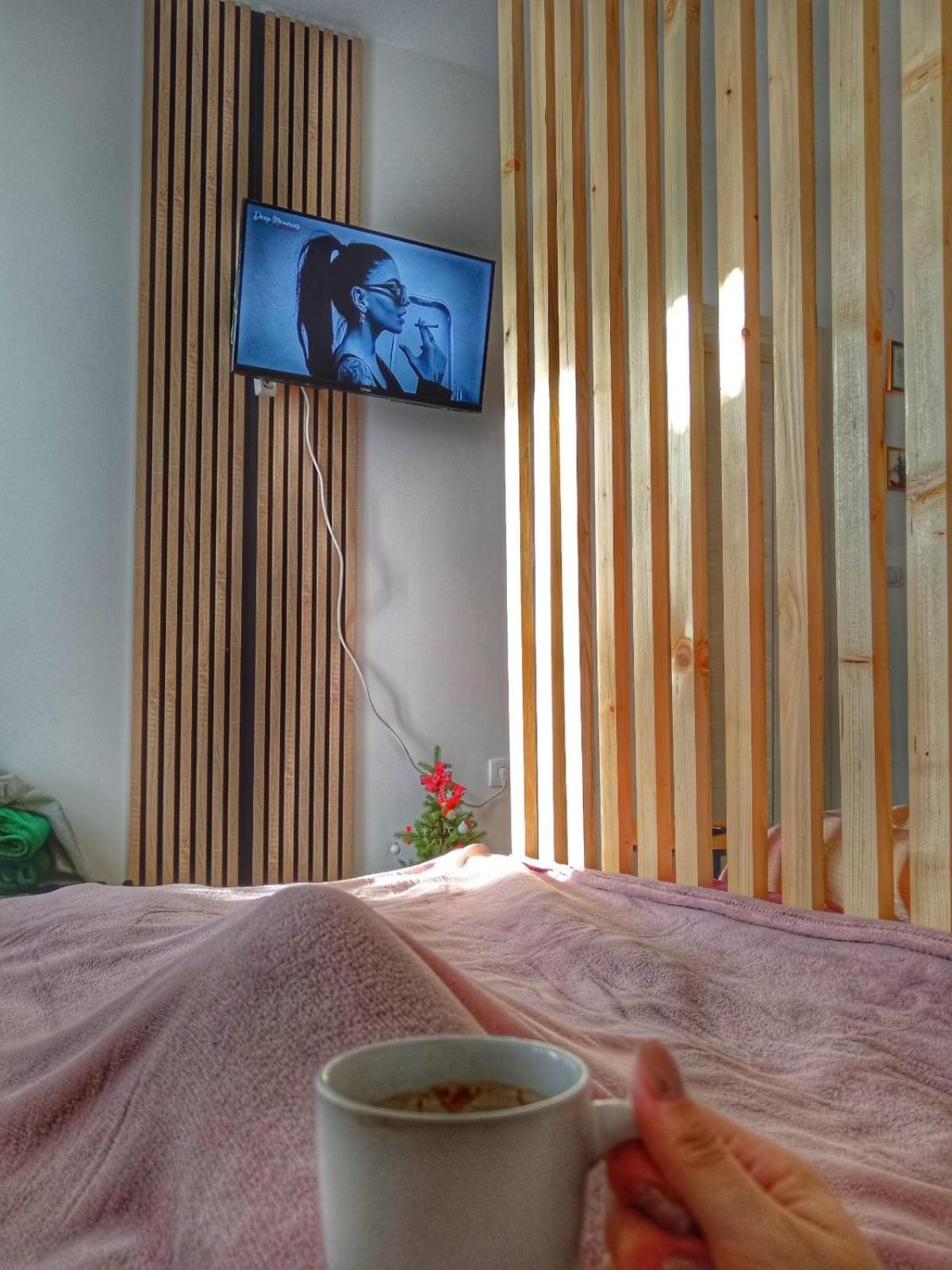 Apartman Nesic kop view 2