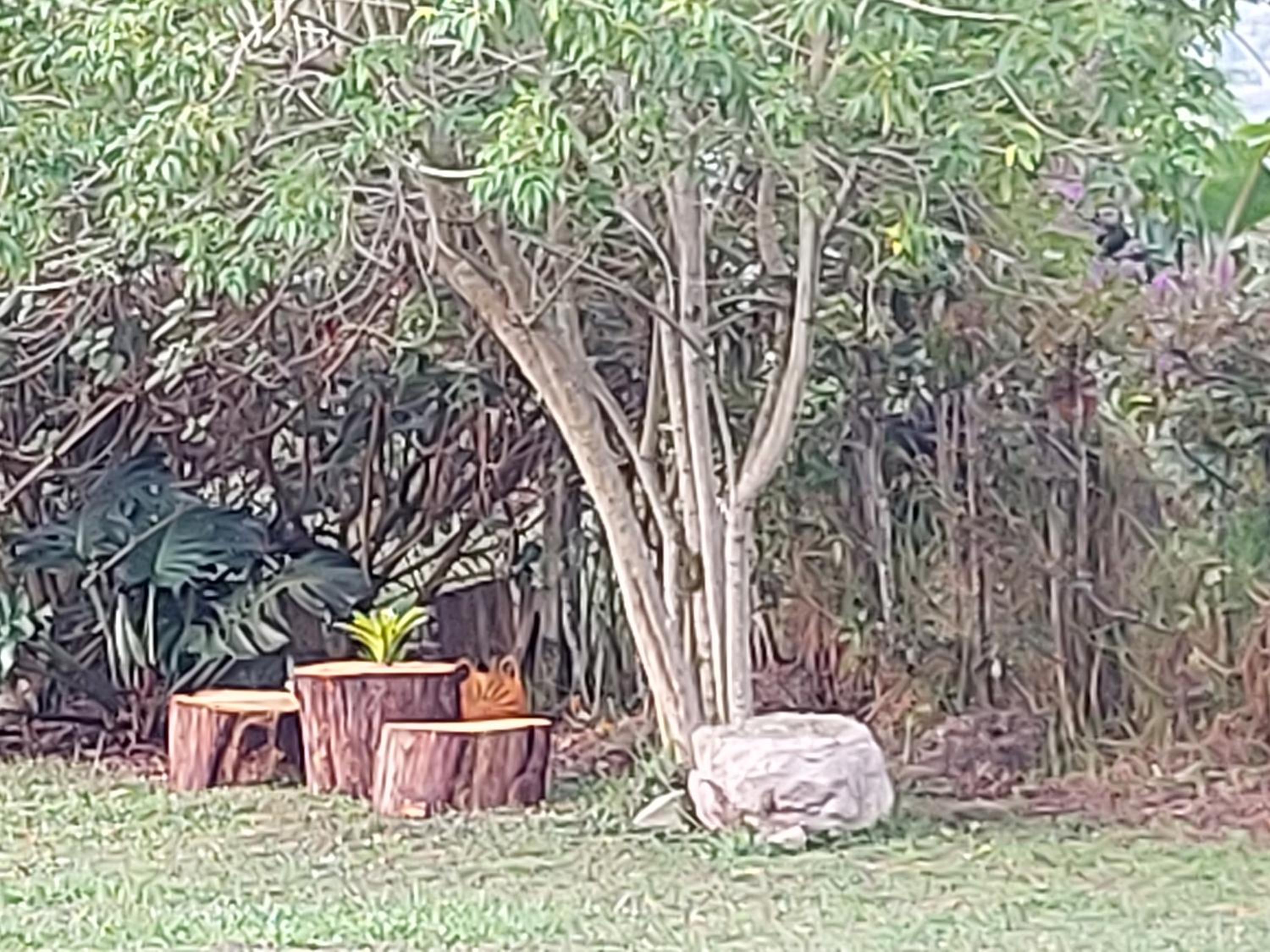 Naturaleza en armonia