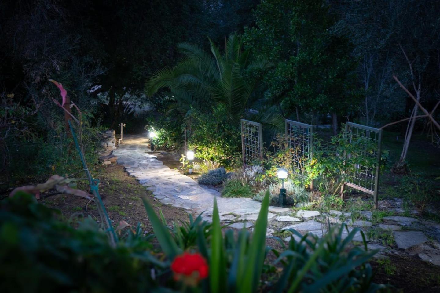 Nature lovers wellness home, photo 29