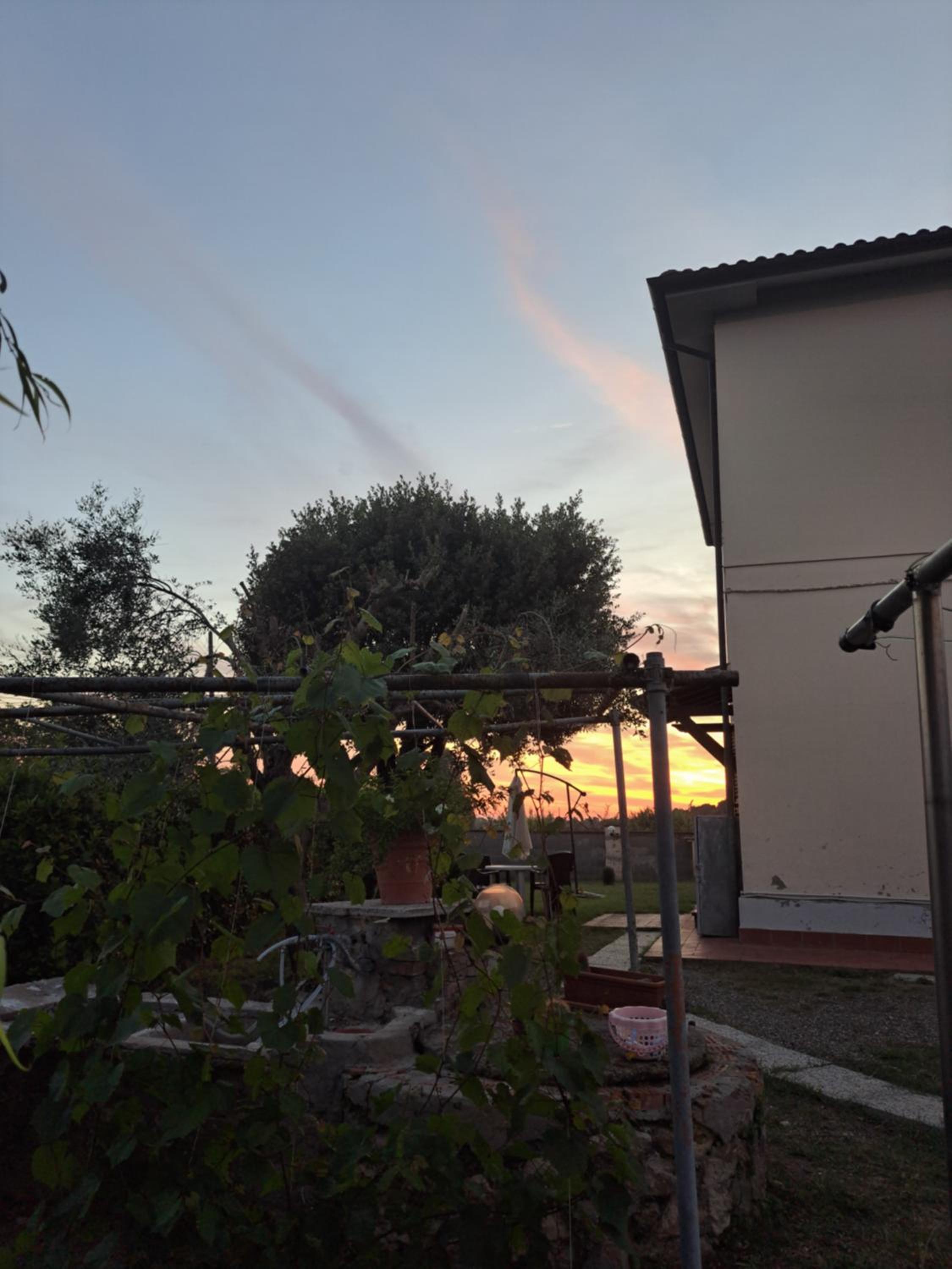 Casa vacanze Rosa Bianca a Vada