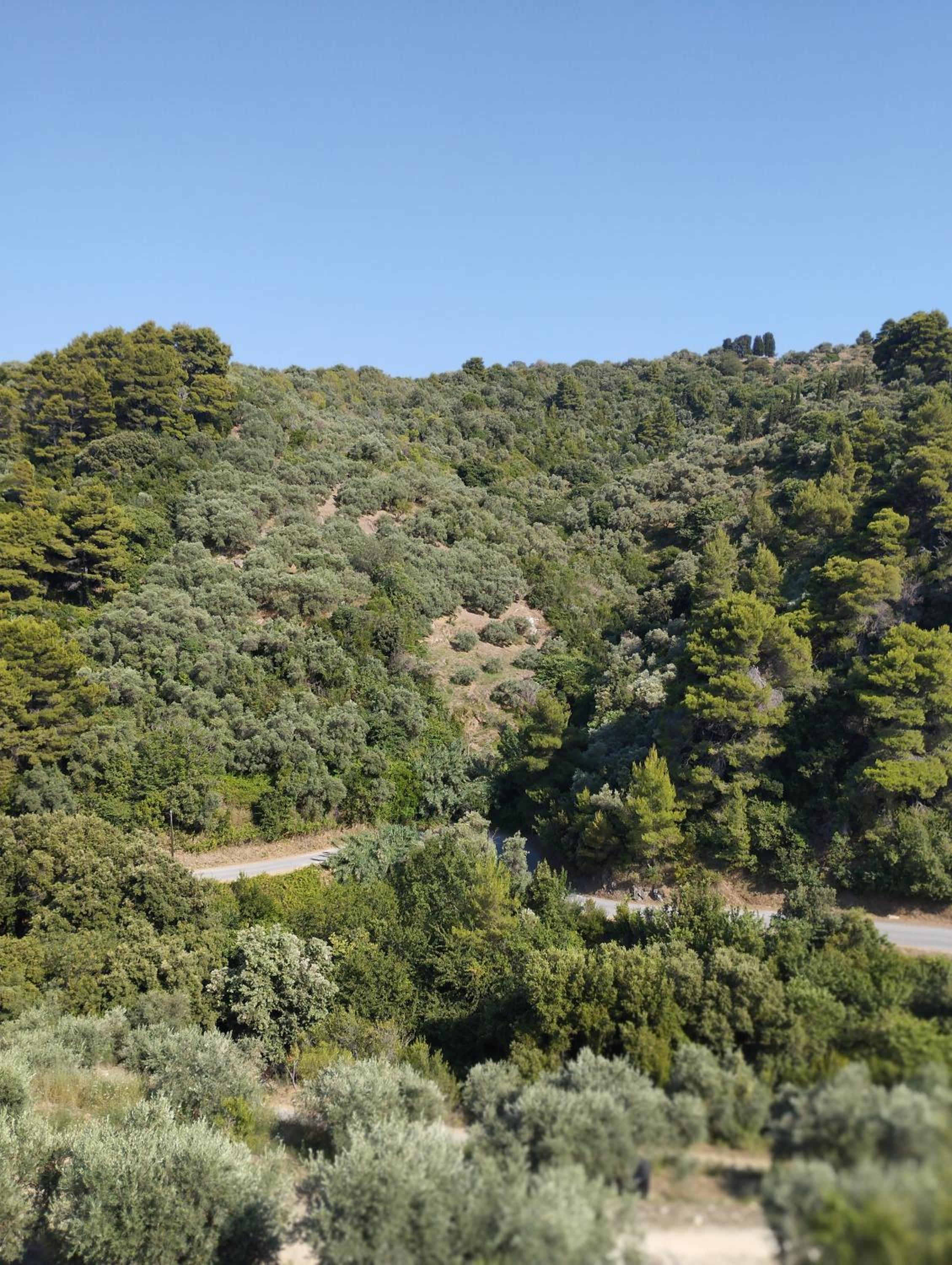 Villa Mavraki