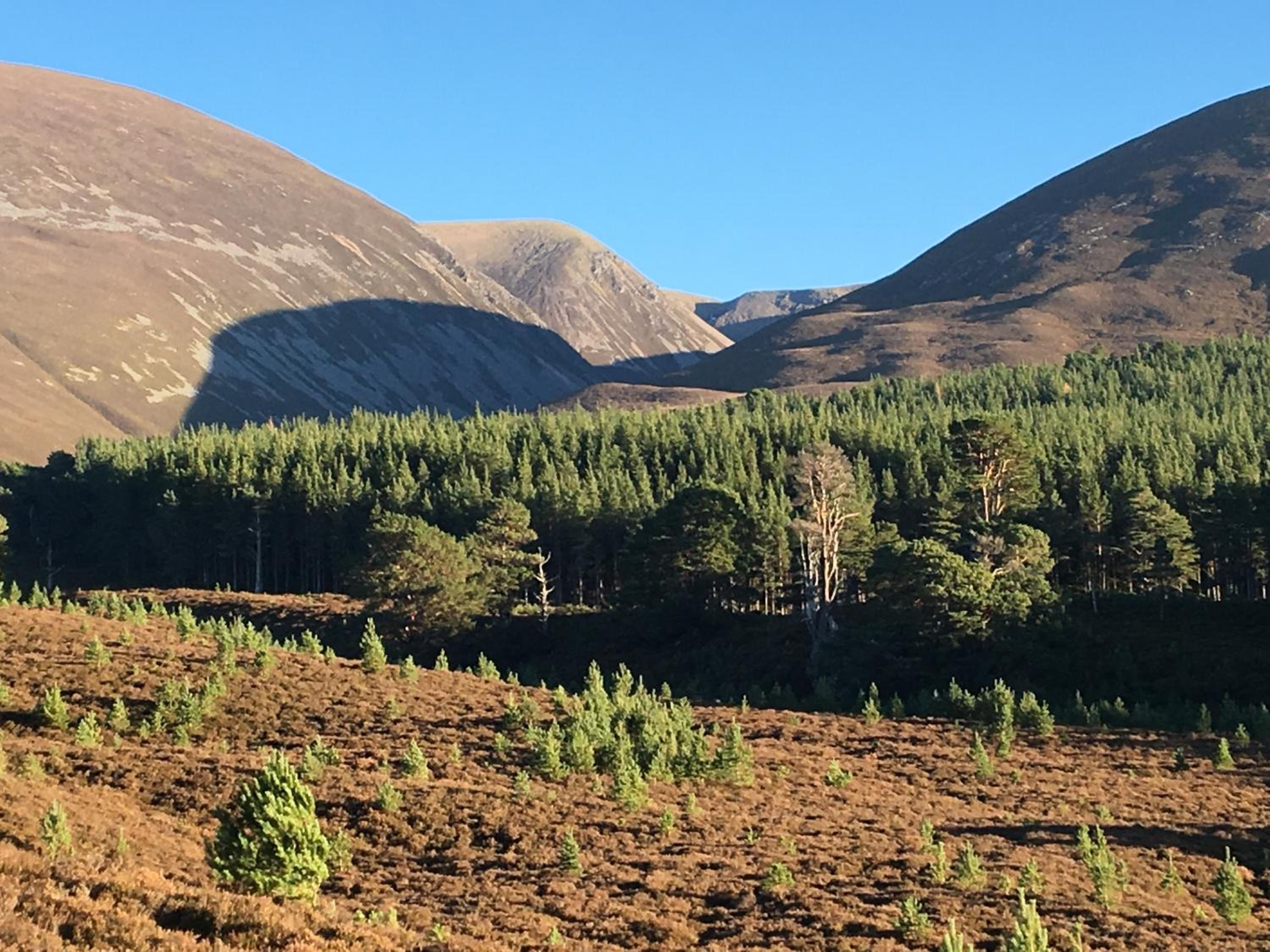 Glenfeshie Hostel