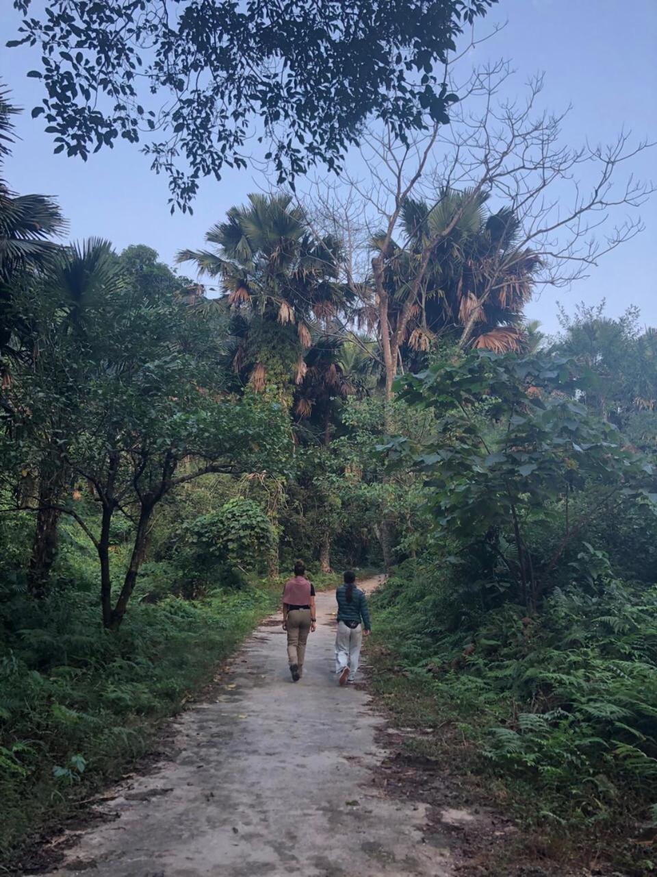 Bikki's jungle homestay