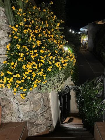 Residenza a 150 metri dalla scogliera di Pietragrande - Montauro view 3