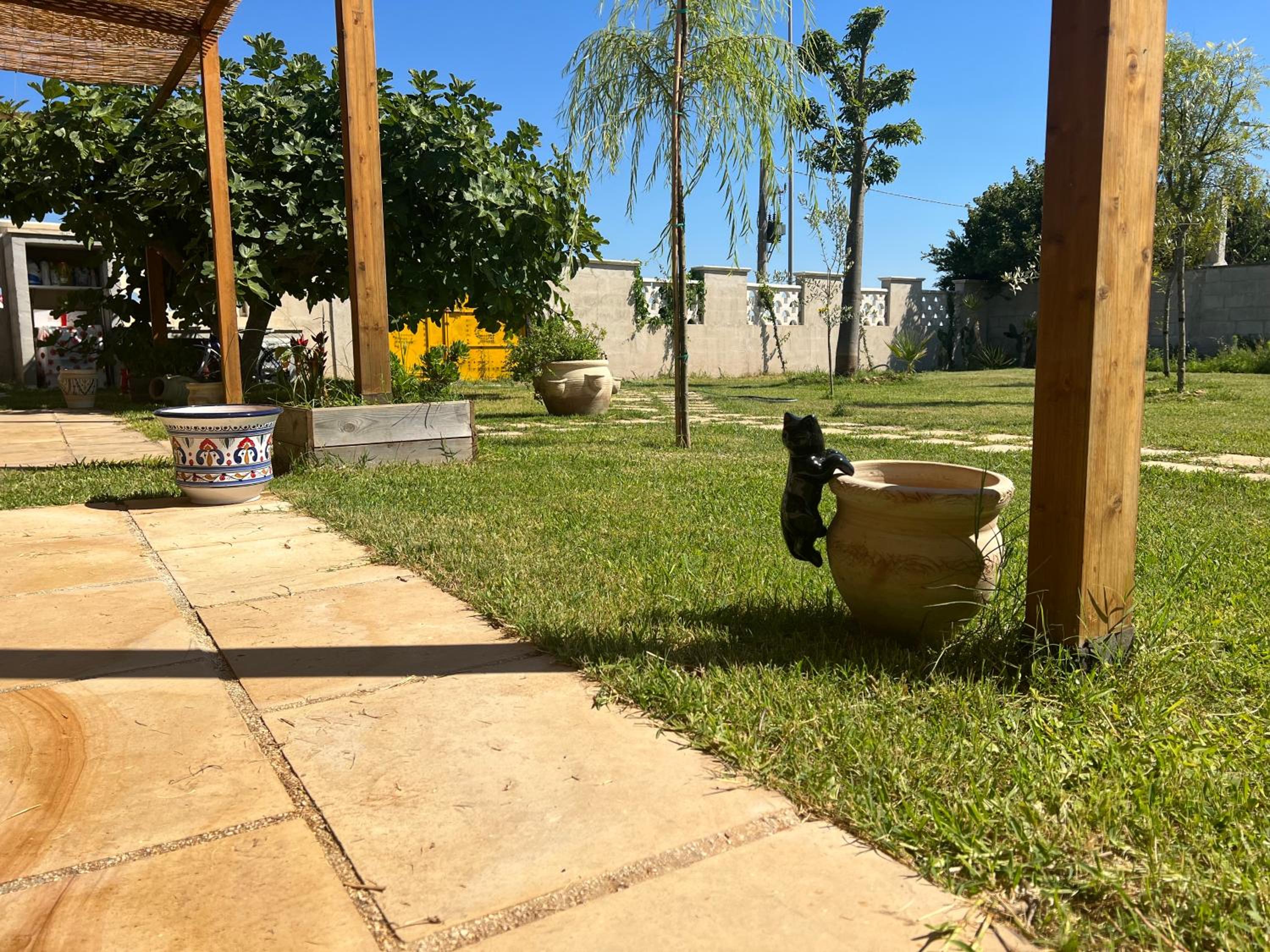 Photo 22