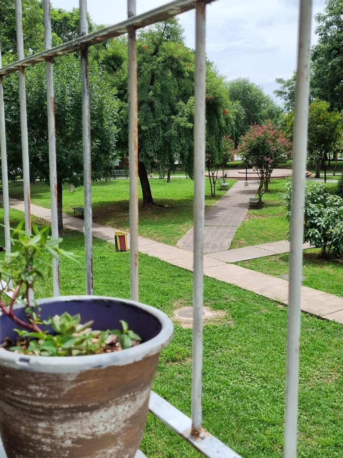 Green garden