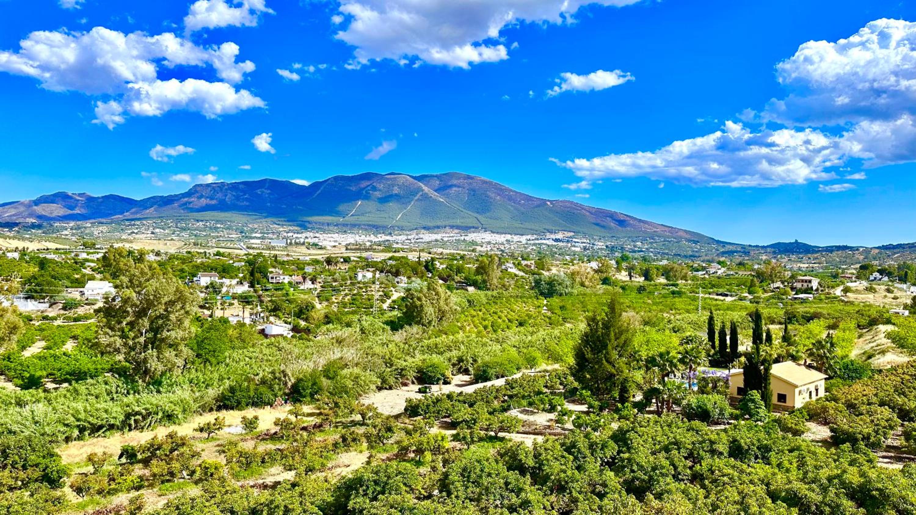 Finca La Panorámica