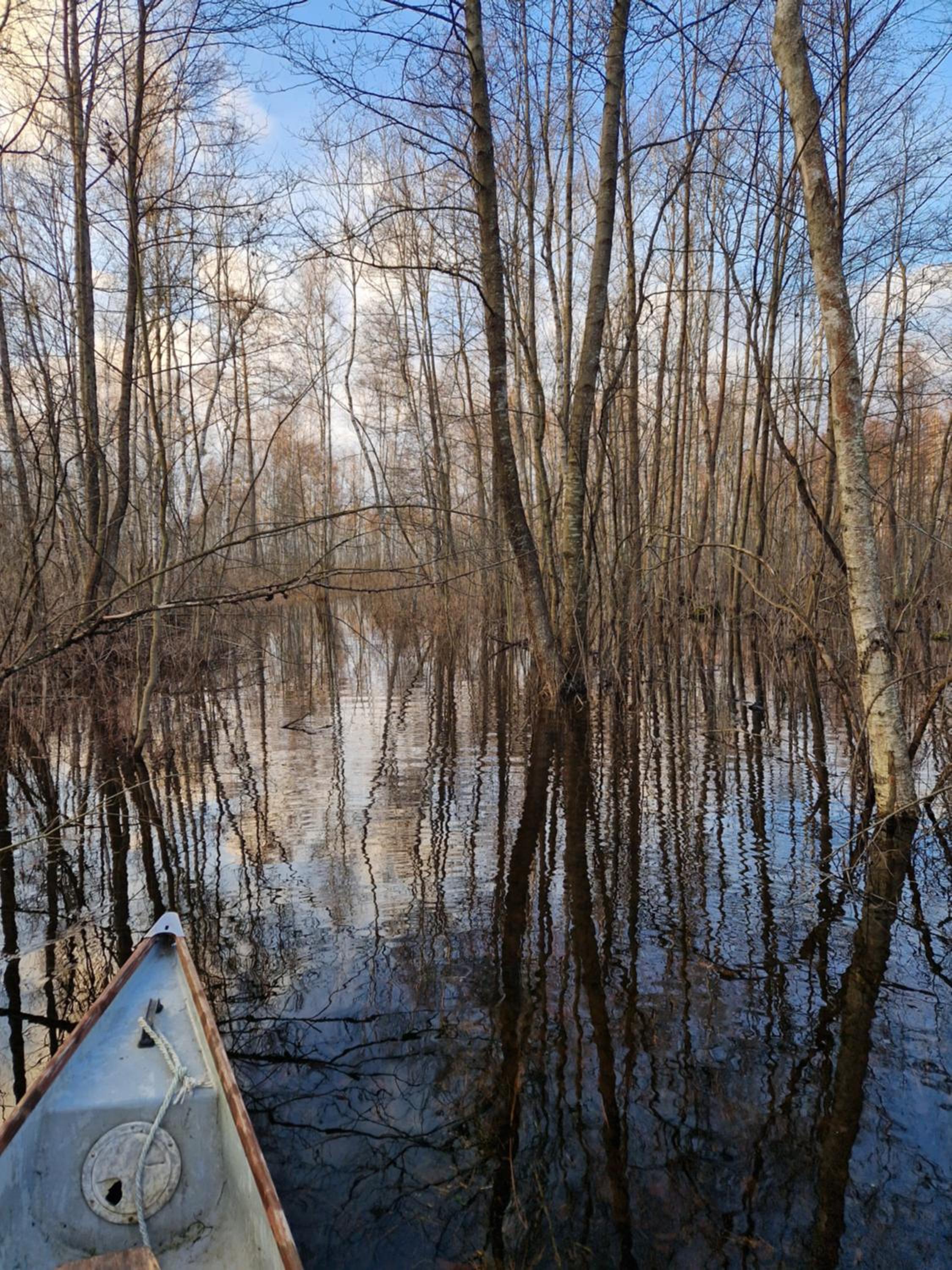 Photo 90