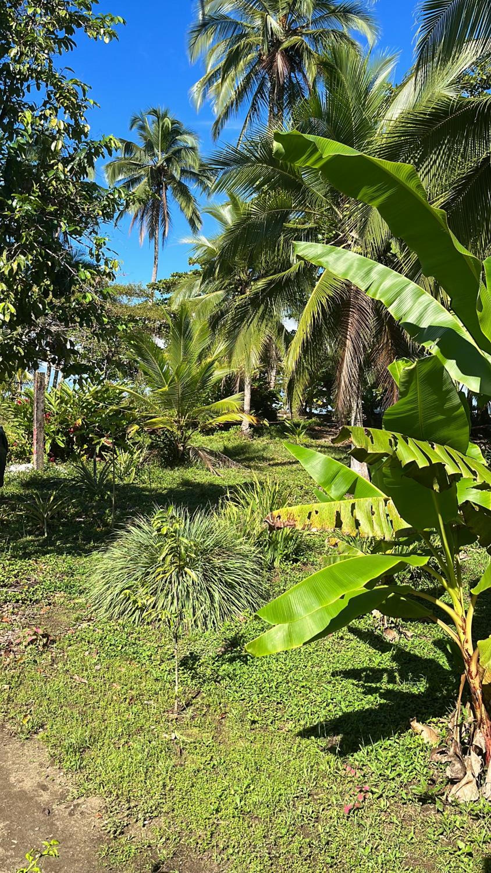 Popochos Beach Eco Lodge