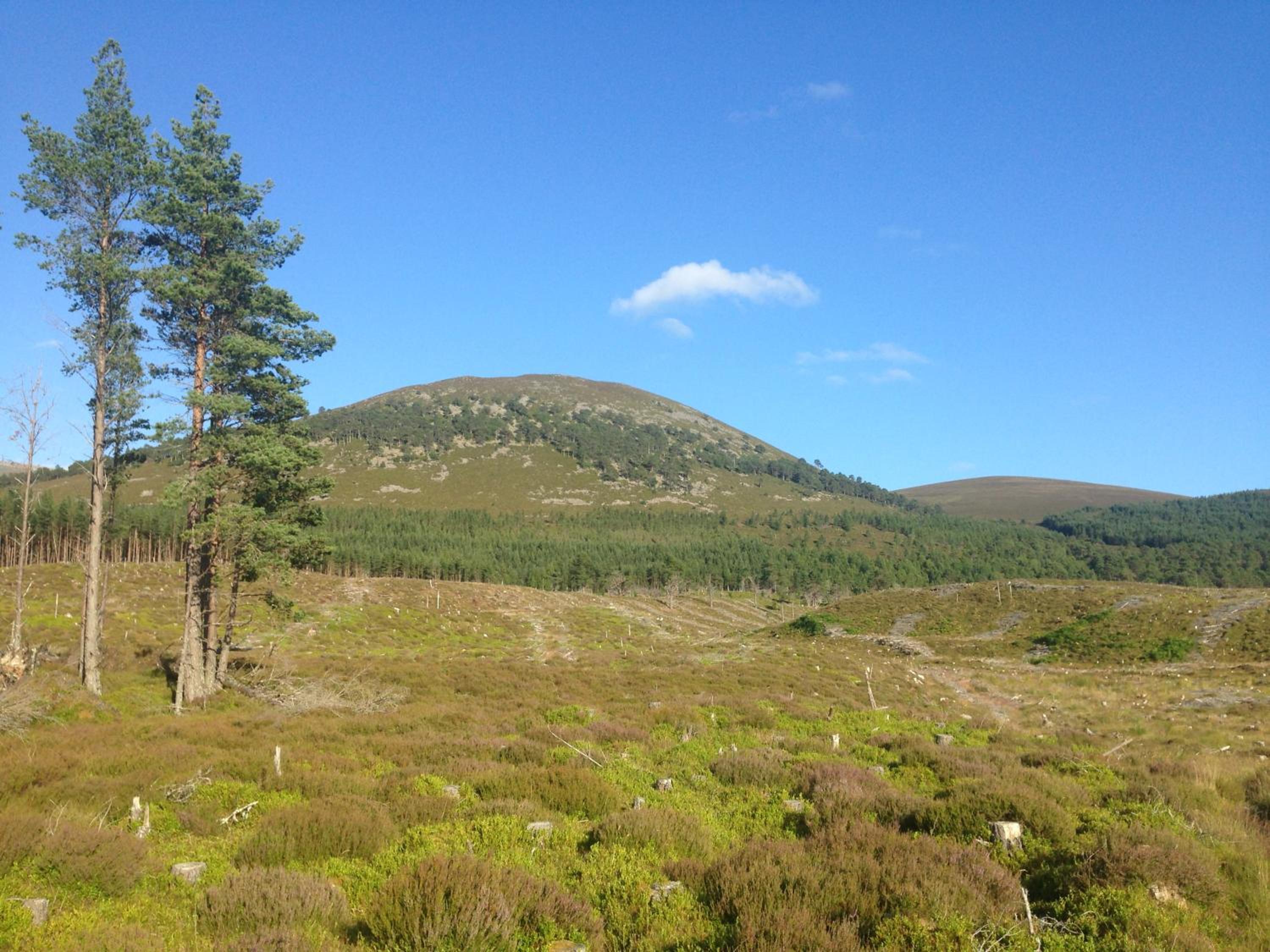 Glenfeshie Hostel