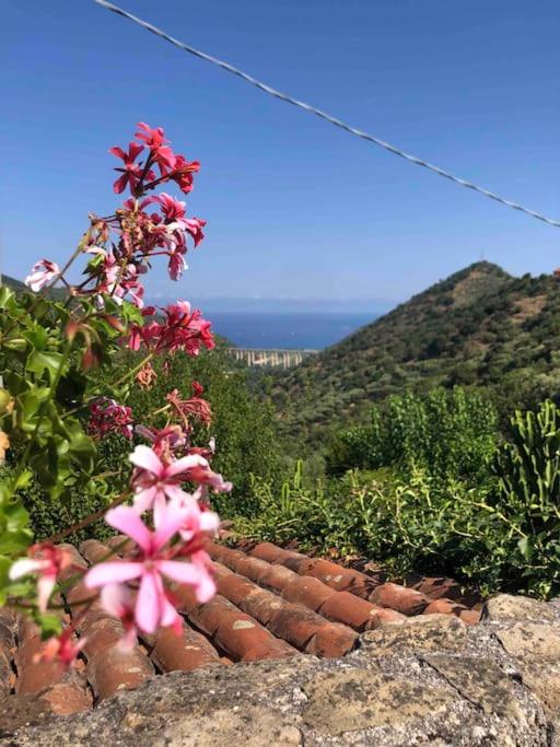 San Noto casina di caccia con piscina riscaldata view 2