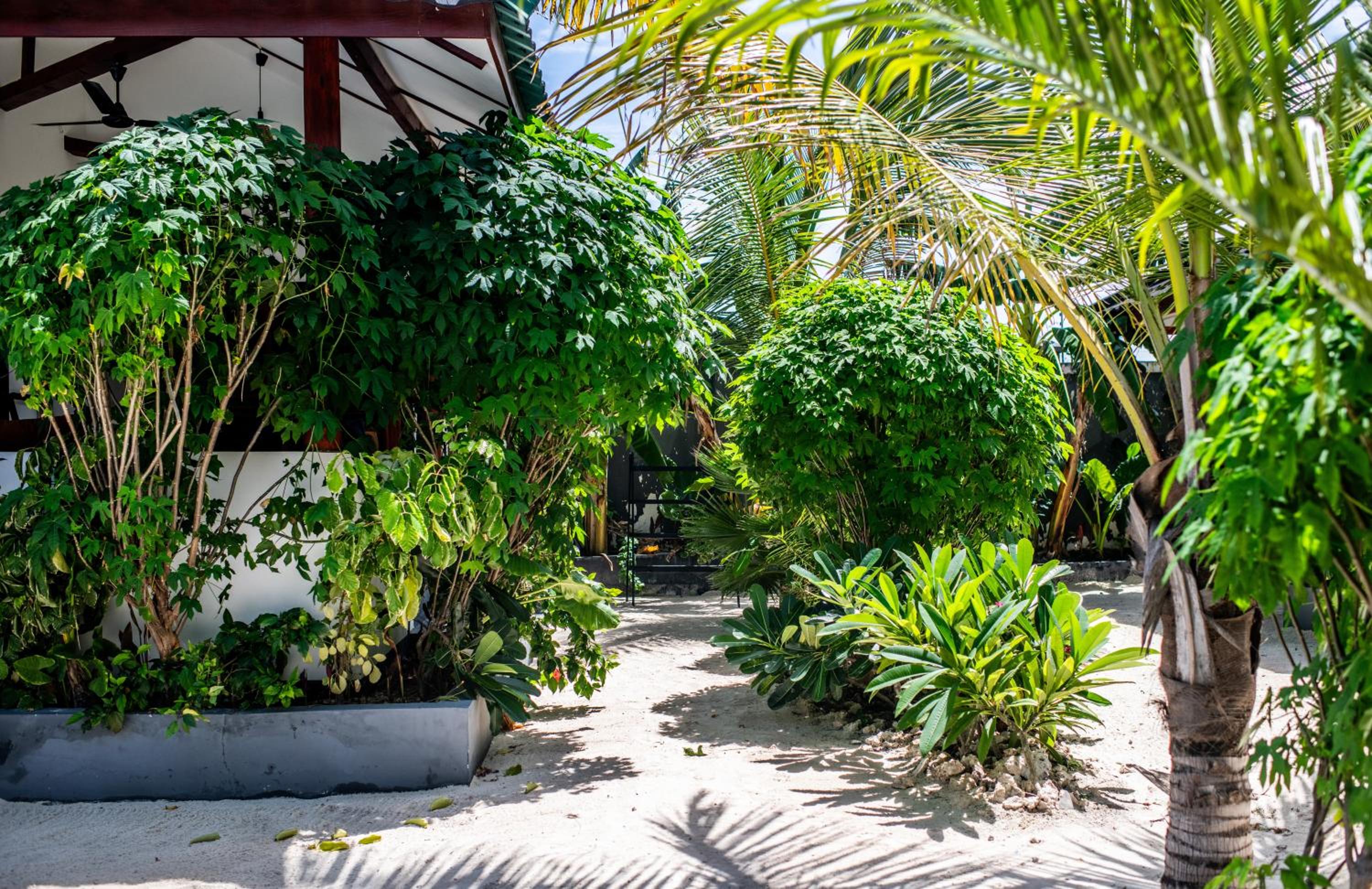 Baobab Bungalows