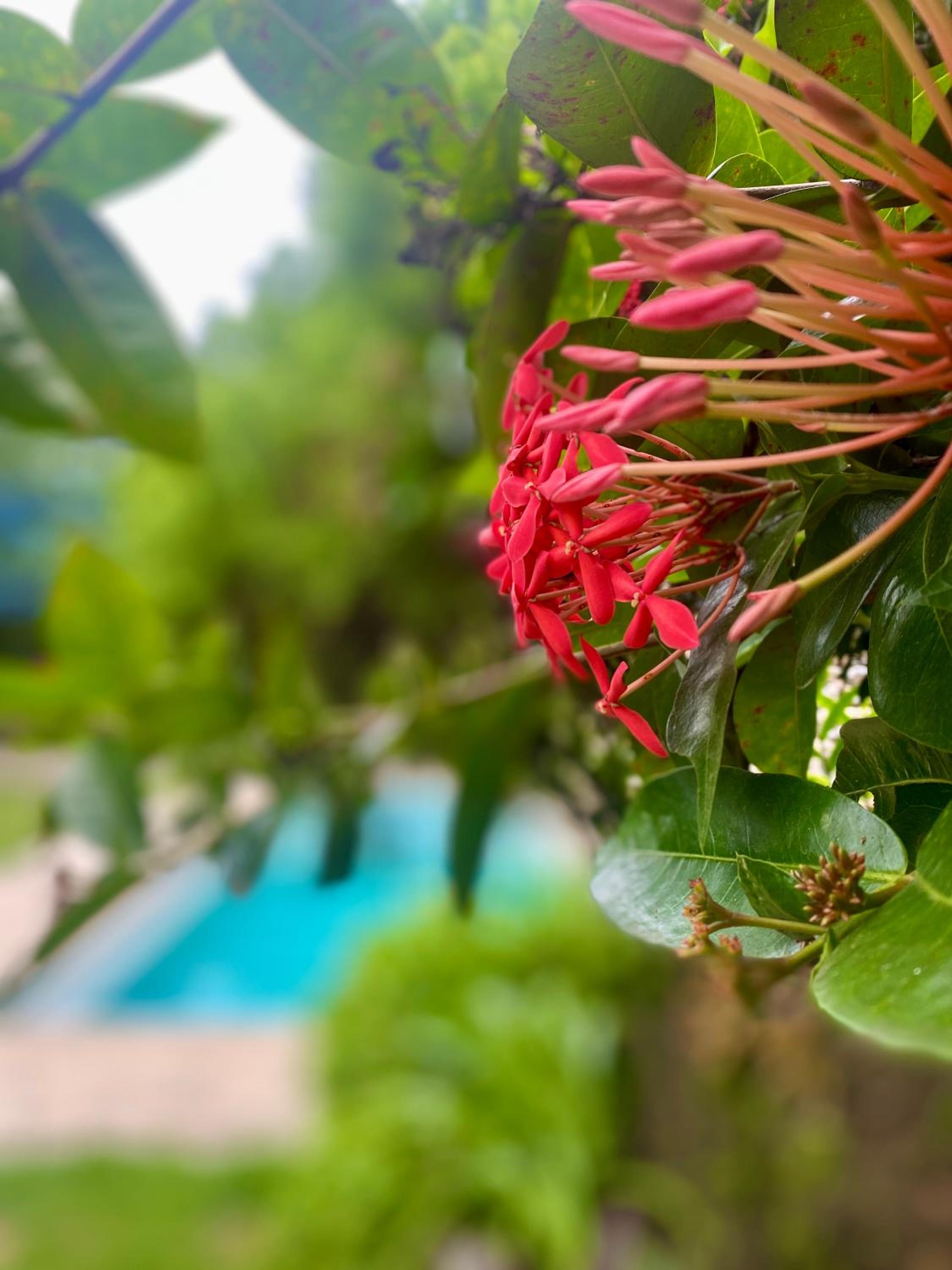 Neyumun Tayrona Eco & Spa