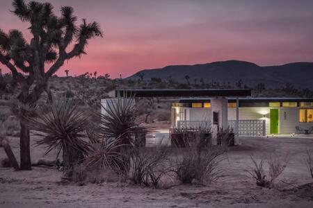 Desert Diamond- Joshua Tree Cowboy Pool and Spa view 2