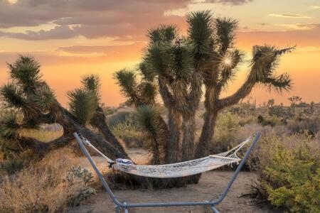 Desert Diamond- Joshua Tree Cowboy Pool and Spa view 3