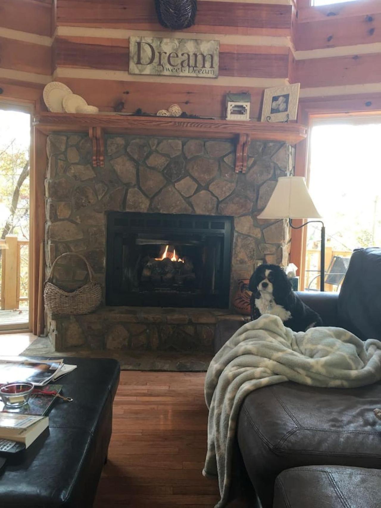 Mountain Top Log Cabin, HOT TUB, fire-pit, WiFi