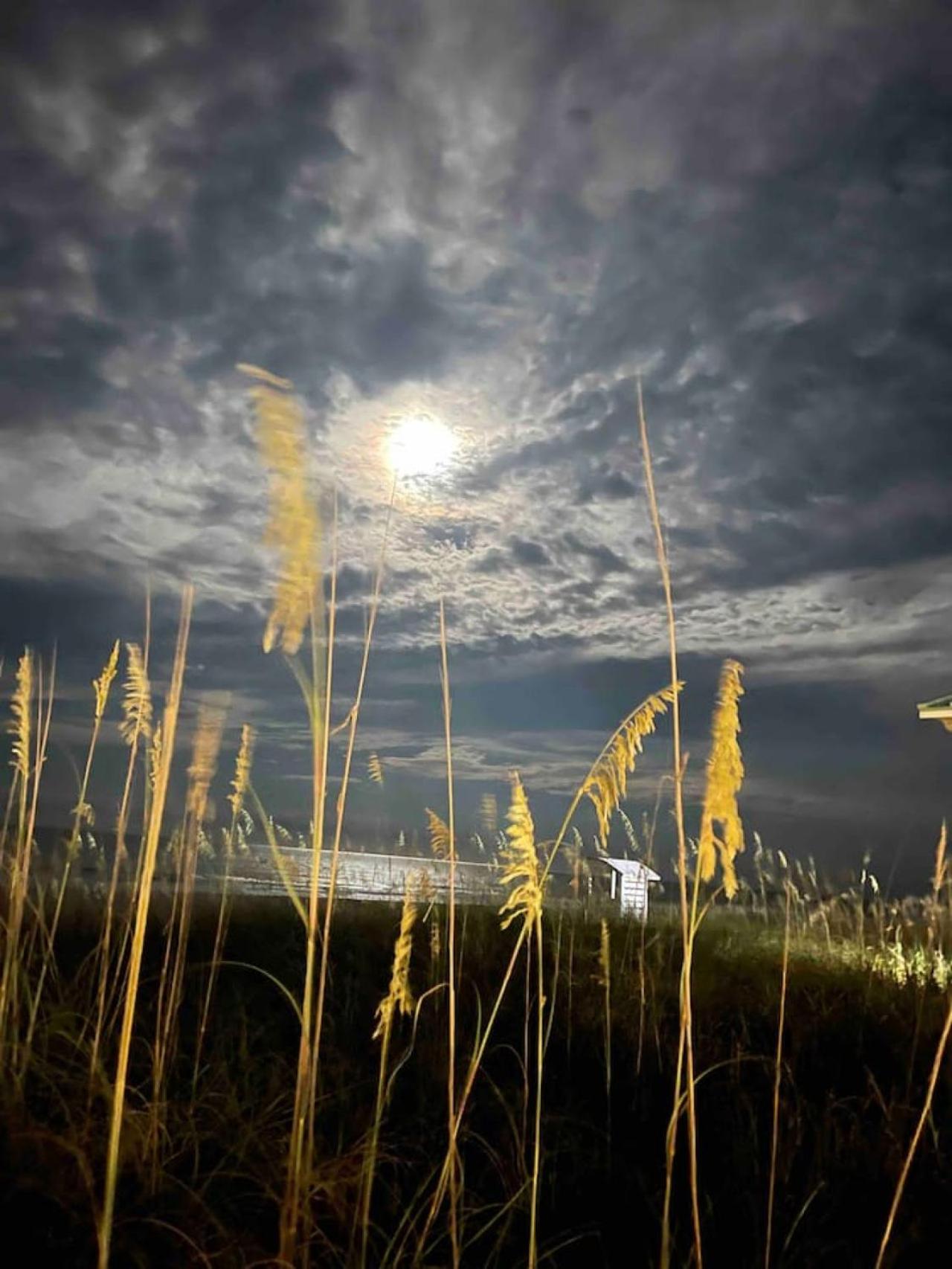 Searenity at Driftwood Villas