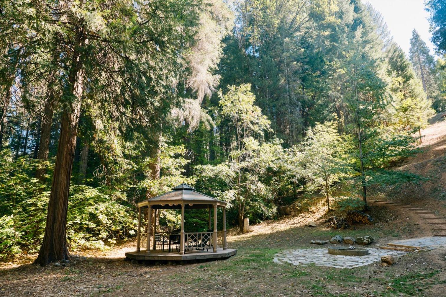 Photo 48