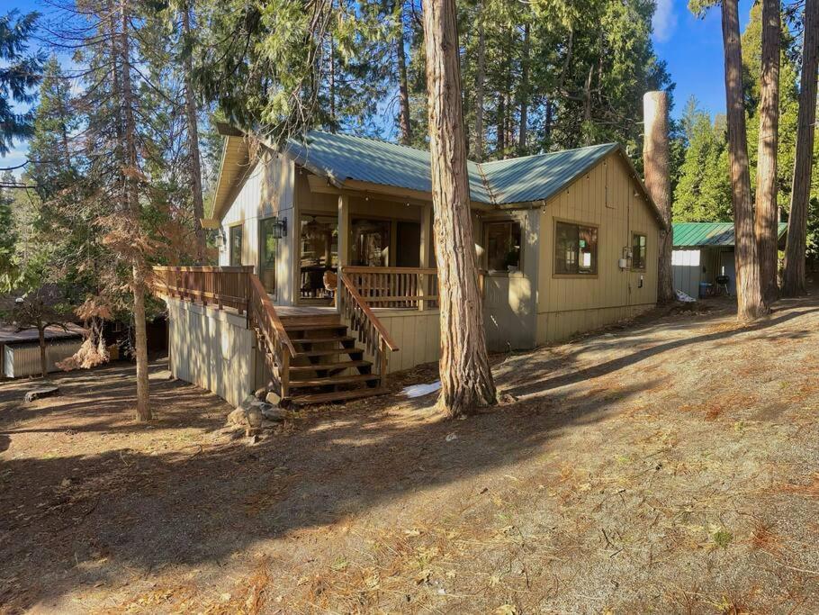 Cozy Cabin Retreat view 2