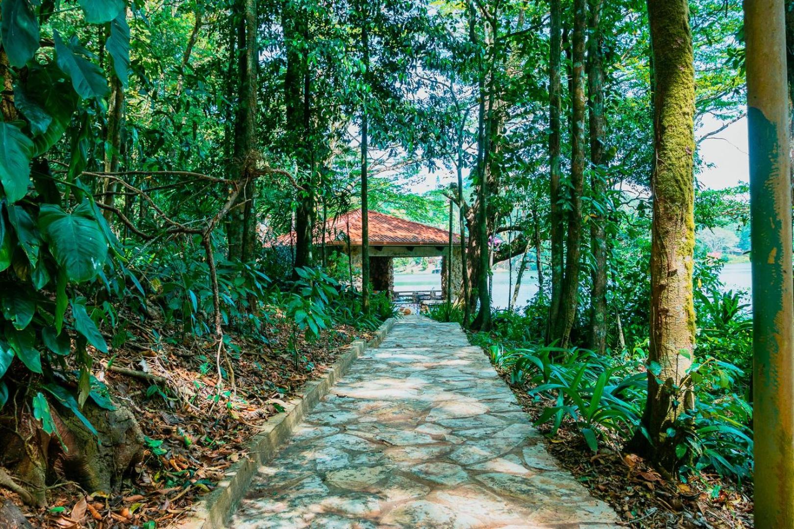 La Perezosa en Cerro Azul - Somos Pet friendly