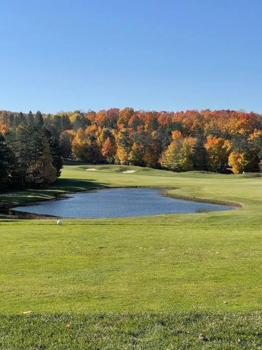 Shanty Creek, Condo, Golf ,Sleeps 4, Pets welcome! view 4