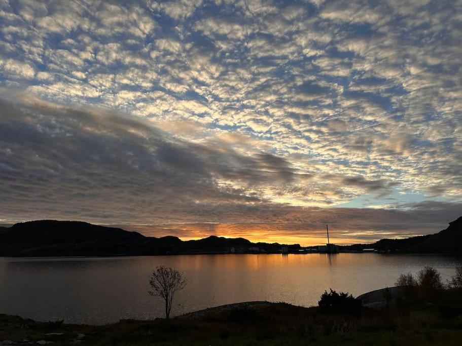 Brattøya sjøstuer